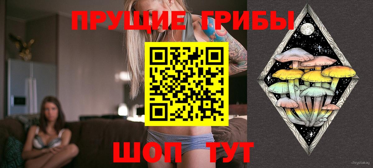 Всеволожск  Галлюциногенные грибы Psilocybe  Вход с VPN 